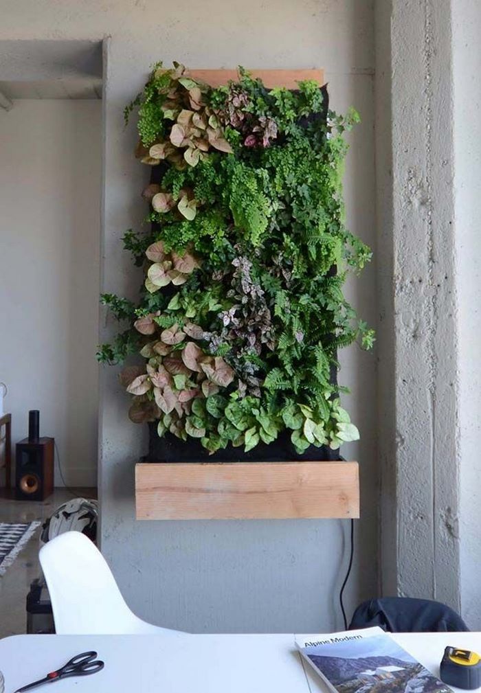 植物墙效果图大全
